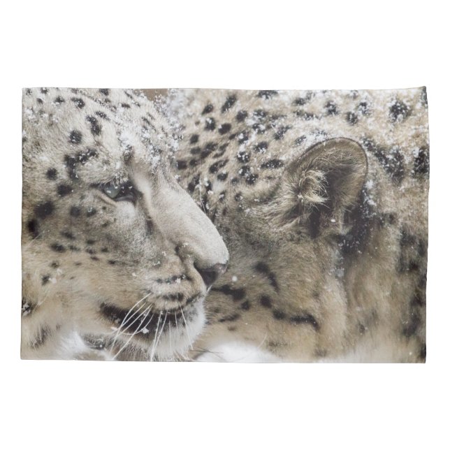 Snow Leopard Cuddle Pillowcase (Back)