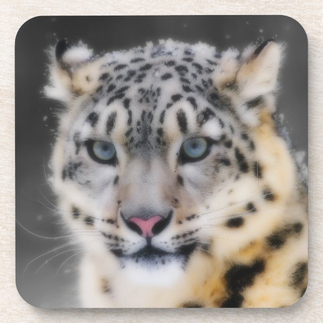 Snow Leopard Drink Coaster (Front)