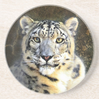 Snow Leopard Drink Coaster