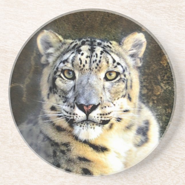 Snow Leopard Drink Coaster (Front)