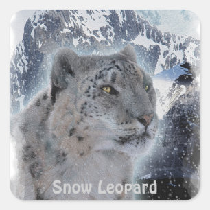 SNOW LEOPARD Endangered Species of Big Cat Square Sticker