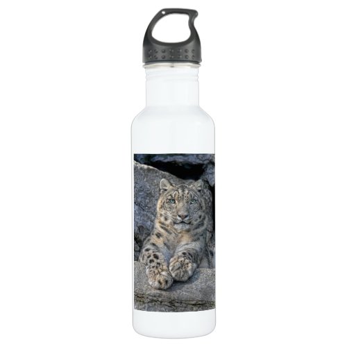 Snow Leopard Following Eyes Stainless Steel Water Bottle