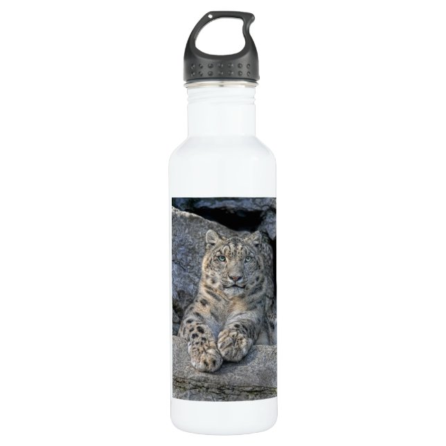 Snow Leopard Following Eyes Stainless Steel Water Bottle (Front)
