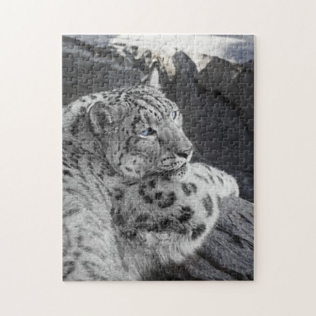 Snow Leopard Icy Stare Jigsaw Puzzle (Vertical)