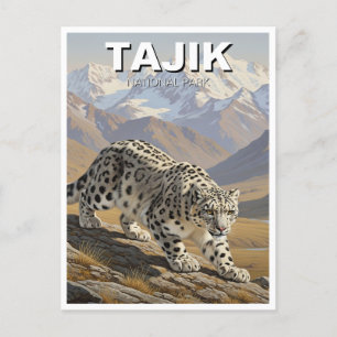 Snow Leopard in Tajik National Park Tajikistan Postcard