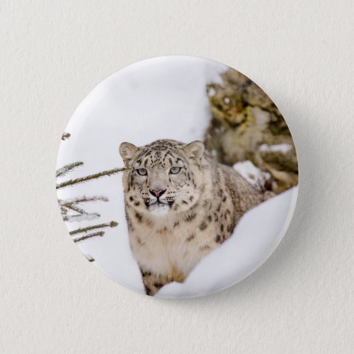 Snow Leopard in the Snow Pinback Button