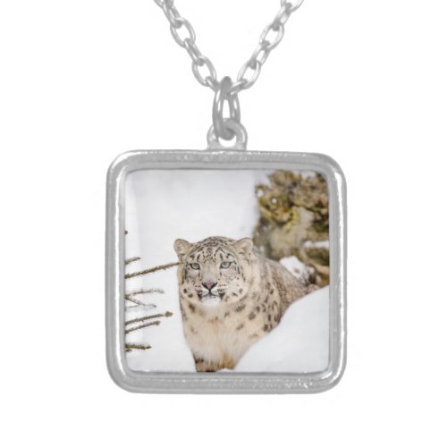 Snow Leopard in the Snow Silver Plated Necklace