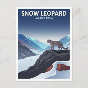 Snow Leopard, Ladakh Leh India Postcard