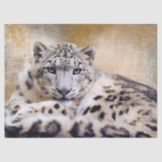 Snow Leopard Lying Down Tissue Paper