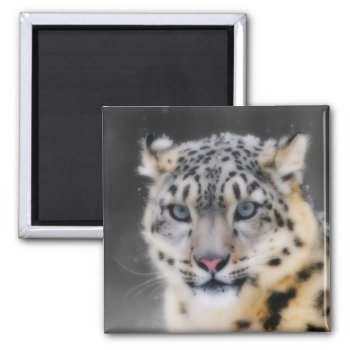 Snow Leopard Magnet by Wilderzoo at Zazzle