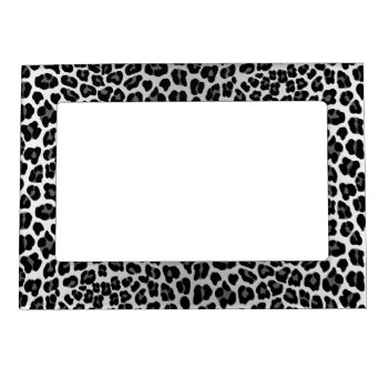 Snow Leopard  Magnetic Frame by stickywicket at Zazzle