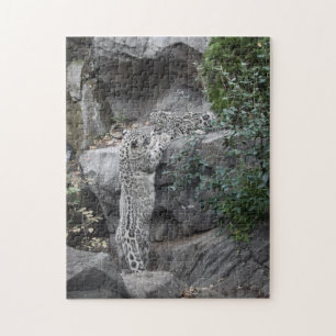 Snow Leopard Mother and Cub Jigsaw Puzzle
