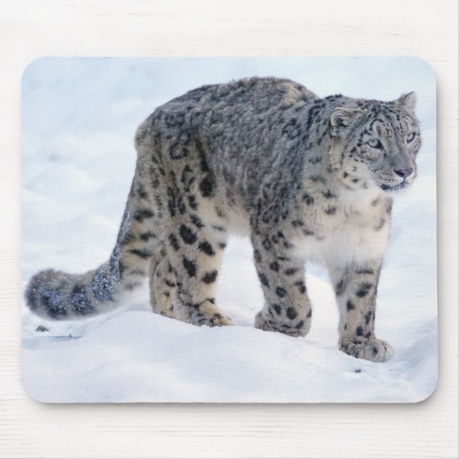 Snow leopard mouse pad (Front)