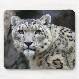 Snow Leopard Mouse Pad