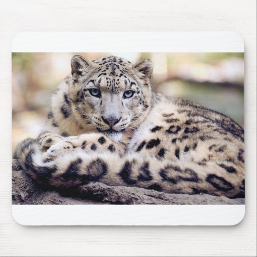 Snow Leopard Mouse Pad