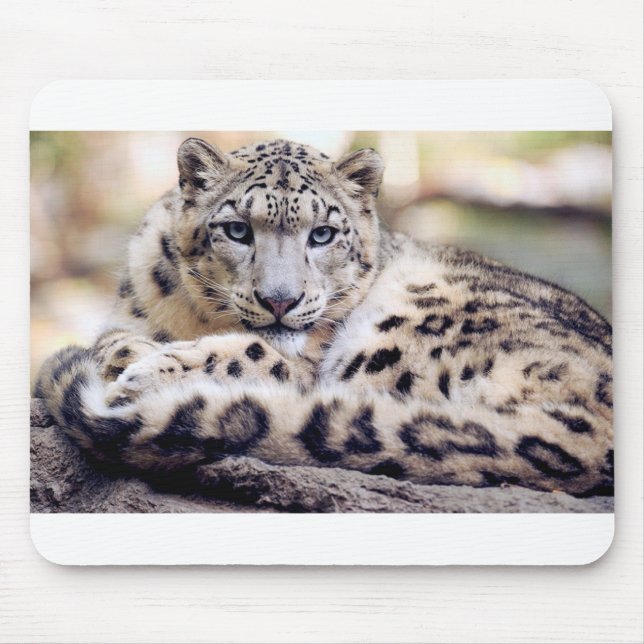 Snow Leopard Mouse Pad (Front)