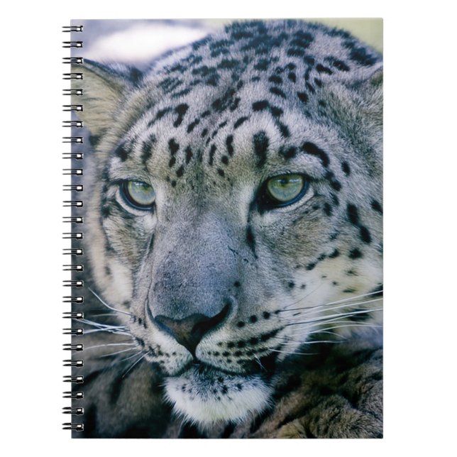 Snow Leopard Notebook (Front)