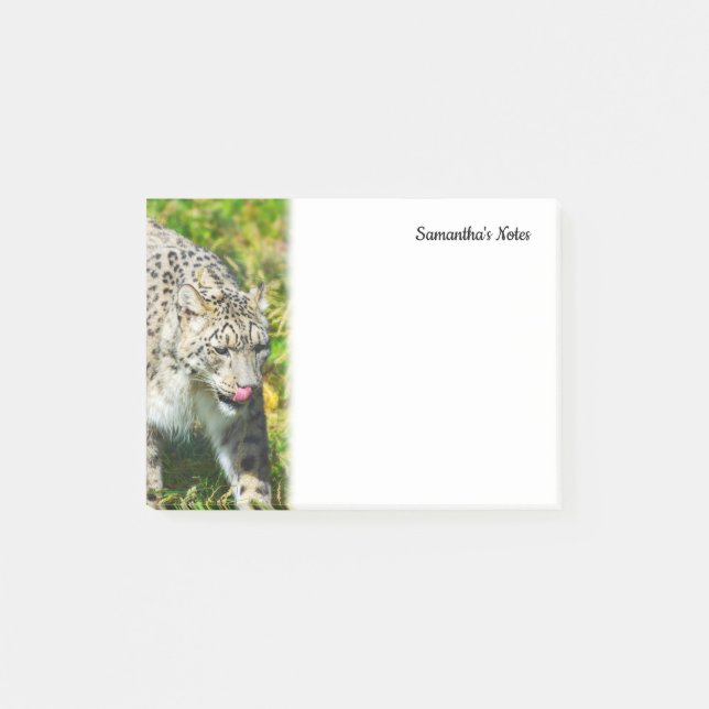 Snow Leopard Notes (Front)