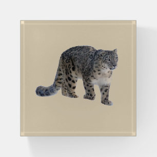 Snow leopard paperweight