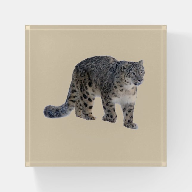 Snow leopard paperweight (Front)