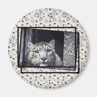 Snow Leopard Photo Magnet