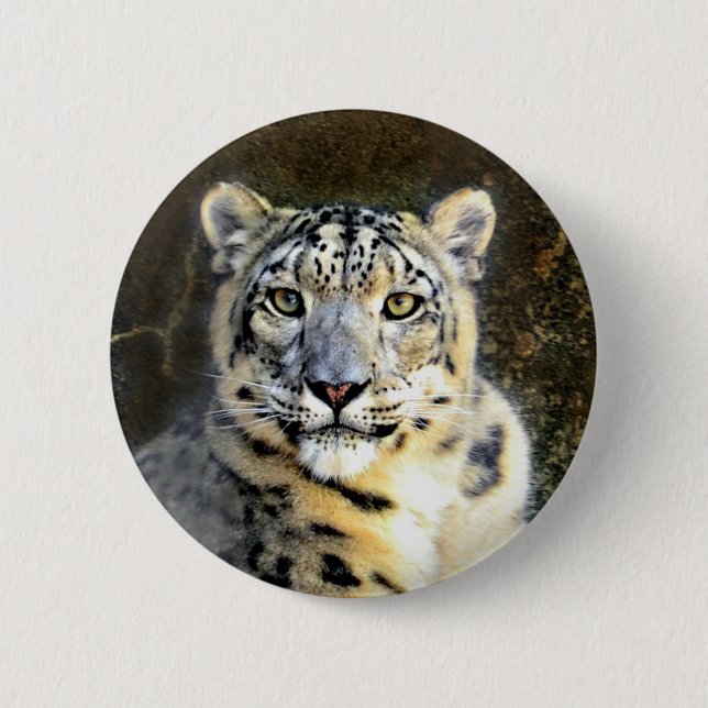 Snow Leopard Pinback Button (Front)