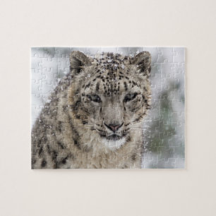 Snow Leopard Portrait in Snow 3 Jigsaw Puzzle