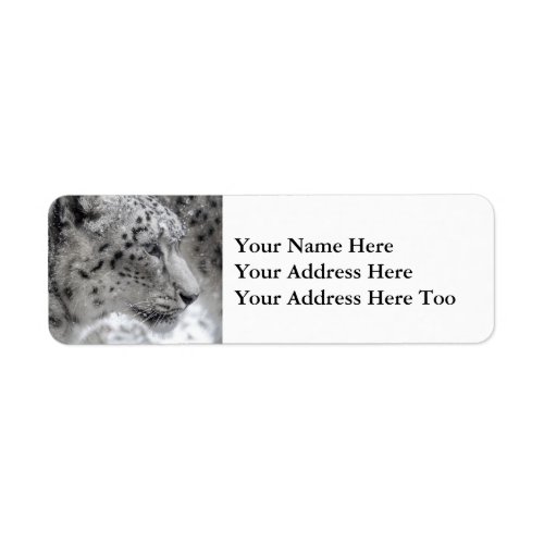 Snow Leopard Portrait in Snow Label