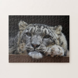Snow Leopard puzzle