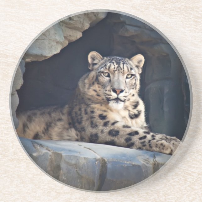 Snow Leopard Sandstone Coaster (Front)