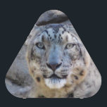 Snow Leopard speaker<br><div class="desc">Snow Leopard speaker</div>