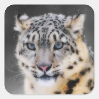 Snow Leopard Square Sticker by Wilderzoo at Zazzle