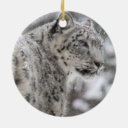 Snow Leopard Standing in Snow Ceramic Ornament
