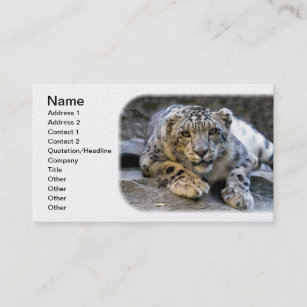 Snow Leopard the Starring Feline Cat Business Card