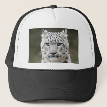 Snow Leopard Trucker Hat by Theraven14 at Zazzle