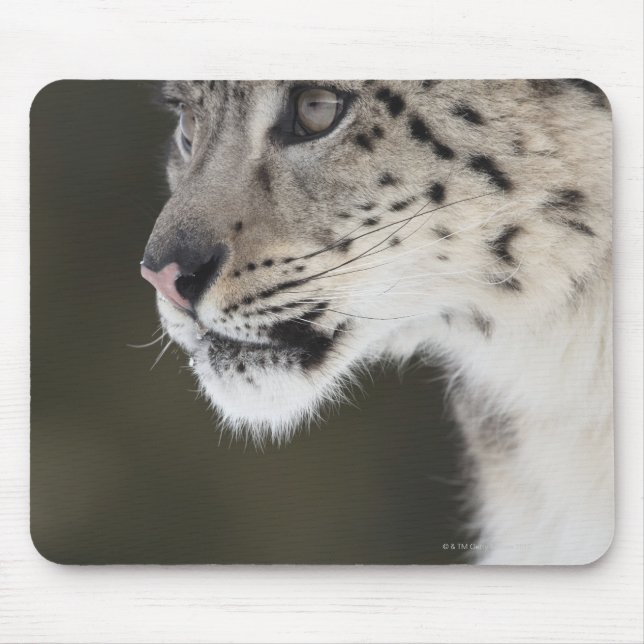 Snow leopard (Uncia uncia) Mouse Pad (Front)