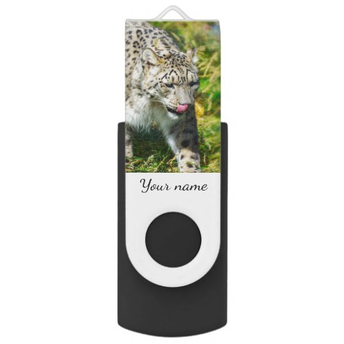 Snow Leopard USB flash drive