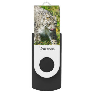 Snow Leopard USB flash drive