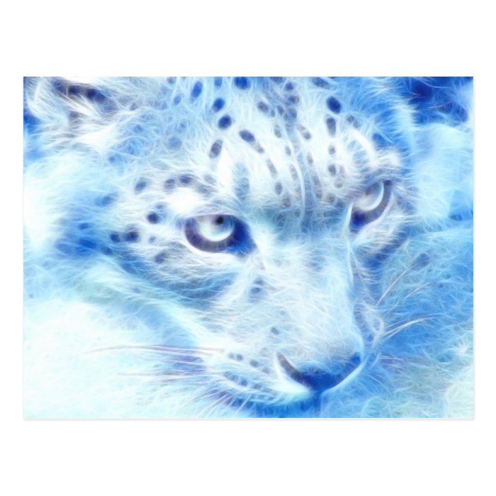 *Snow Leopard* Wild Spirit Post Card