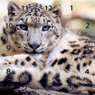 Snow Leopard Art Wall Decor Zazzle