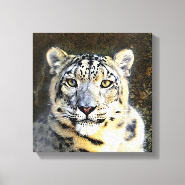 Snow Leopard Wrapped Canvas Print (Front)