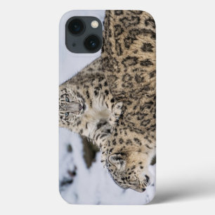Snow Leopards: iPhone 13 Case