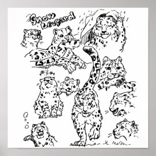 Snow Leopards Drawing Poster #1
