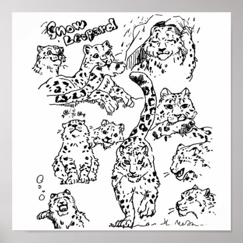Snow Leopards Drawing Poster 1