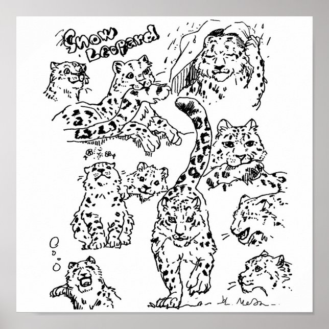 Snow Leopards Drawing Poster #1 (Front)