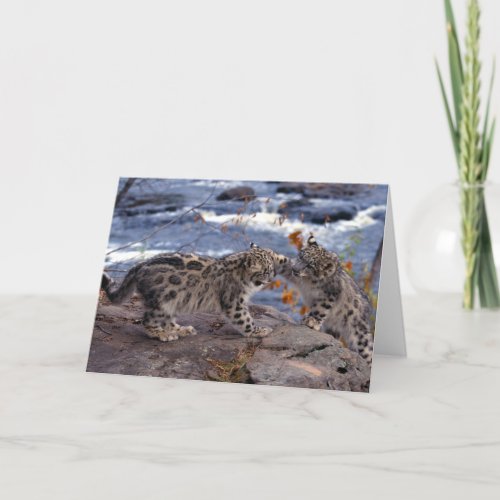 Snow Leopards Greeting Card