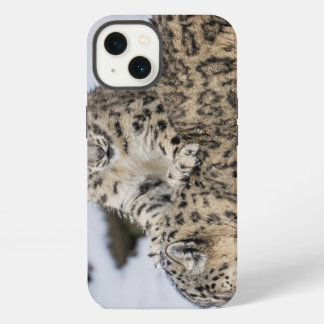 Snow Leopards: iPhone 13 Case