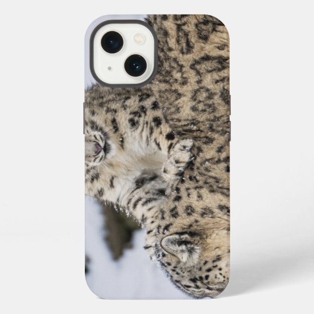 Snow Leopards: Iphone Case (Back)