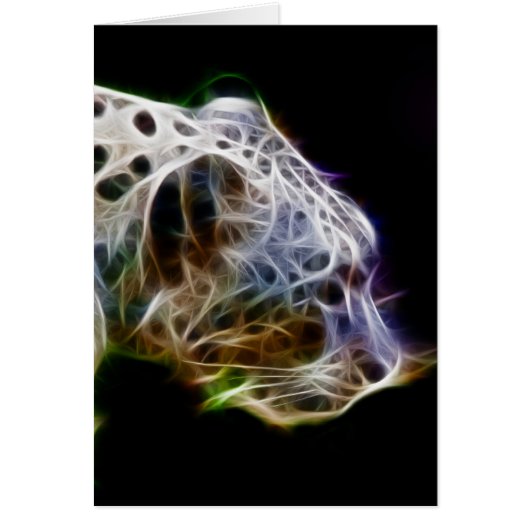 Snow lepoard (Front)