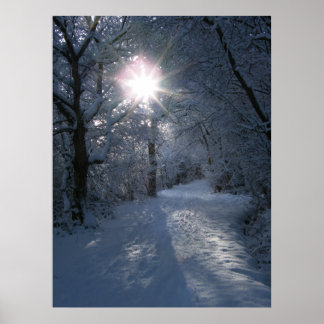 Snow & Light Poster